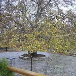 Kastania Korakis Konukevi 3*