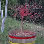 Konukevi Kastania Korakis