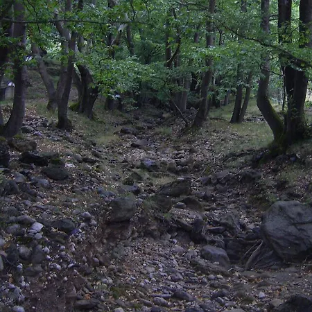 Kastania Korakis 4*