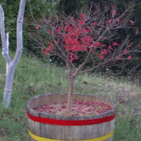 Penzion Kastania Korakis