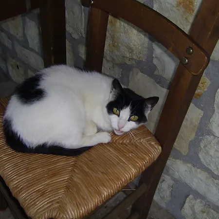 Vendégház Kastania Korakis Kasztaniá