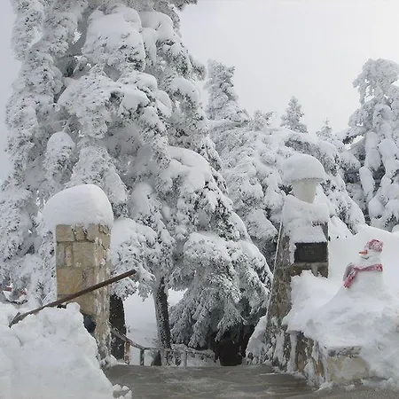 Kastania Korakis 카스타네아