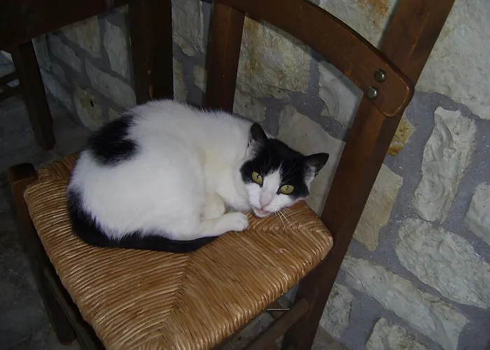 Penzion Kastania Korakis Kastanéa