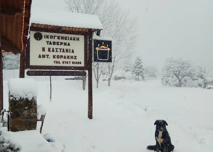 Гостевой дом Kastania Korakis